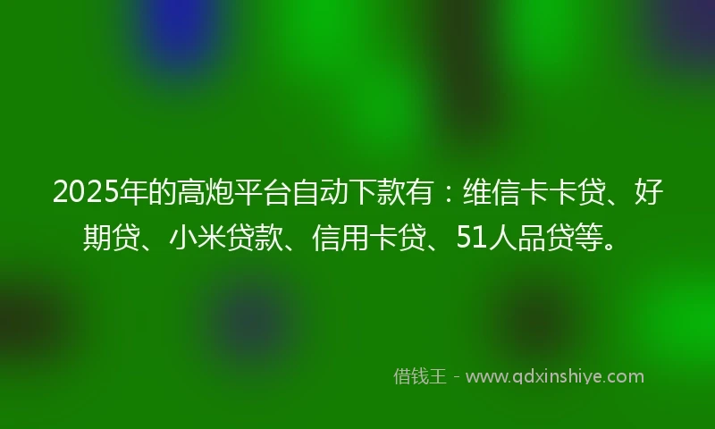 2025年的高炮平台自动下款有：维信卡卡贷、好期贷、小米贷款、信用卡贷、51人品贷等。