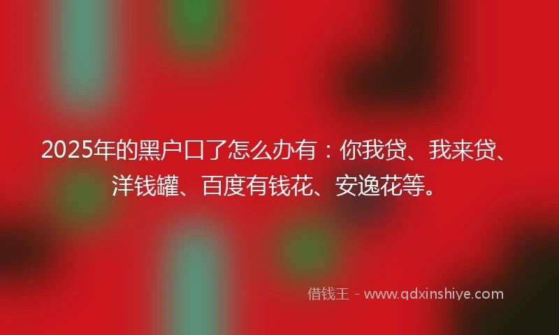 2025年的黑户口了怎么办有：你我贷、我来贷、洋钱罐、百度有钱花、安逸花等。