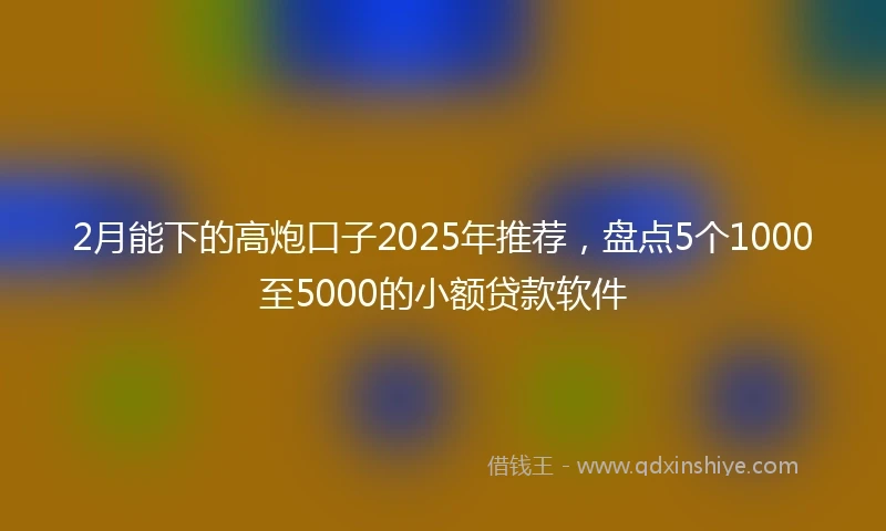 2月能下的高炮口子2025年推荐，盘点5个1000至5000的小额贷款软件
