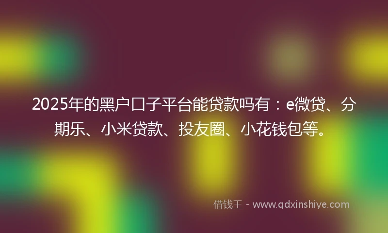 2025年的黑户口子平台能贷款吗有：e微贷、分期乐、小米贷款、投友圈、小花钱包等。