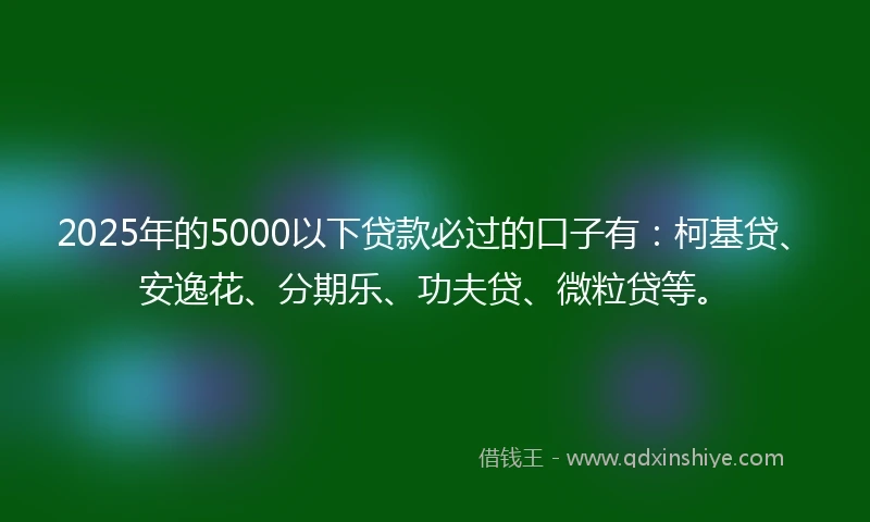 2025年的5000以下贷款必过的口子有：柯基贷、安逸花、分期乐、功夫贷、微粒贷等。