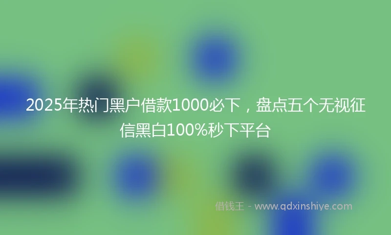 2025年热门黑户借款1000必下，盘点五个无视征信黑白100%秒下平台