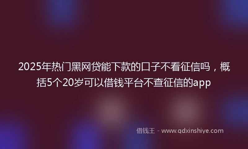 2025年热门黑网贷能下款的口子不看征信吗，概括5个20岁可以借钱平台不查征信的app