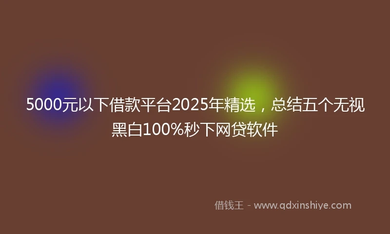 5000元以下借款平台2025年精选，总结五个无视黑白100%秒下网贷软件