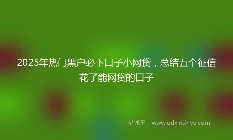 2025年热门黑户必下口子小网贷，总结五个征信花了能网贷的口子