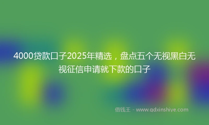4000贷款口子2025年精选，盘点五个无视黑白无视征信申请就下款的口子