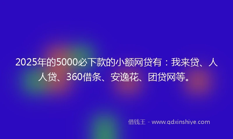 2025年的5000必下款的小额网贷有：我来贷、人人贷、360借条、安逸花、团贷网等。