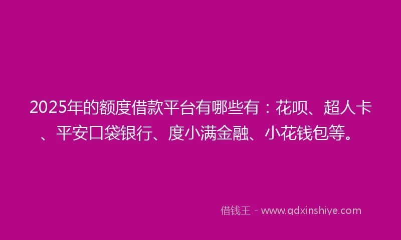 2025年的额度借款平台有哪些有：花呗、超人卡、平安口袋银行、度小满金融、小花钱包等。