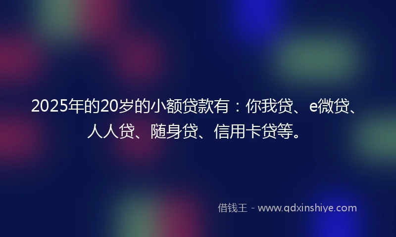 2025年的20岁的小额贷款有：你我贷、e微贷、人人贷、随身贷、信用卡贷等。