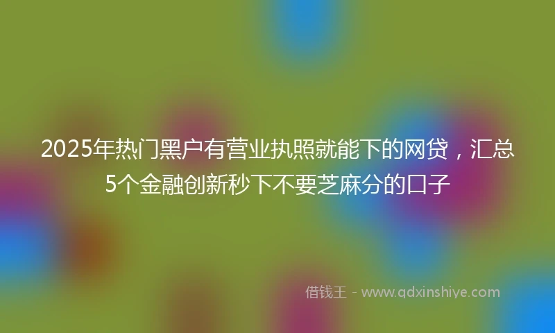 2025年热门黑户有营业执照就能下的网贷，汇总5个金融创新秒下不要芝麻分的口子