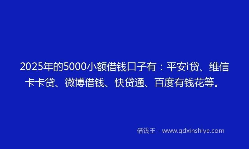 2025年的5000小额借钱口子有：平安i贷、维信卡卡贷、微博借钱、快贷通、百度有钱花等。