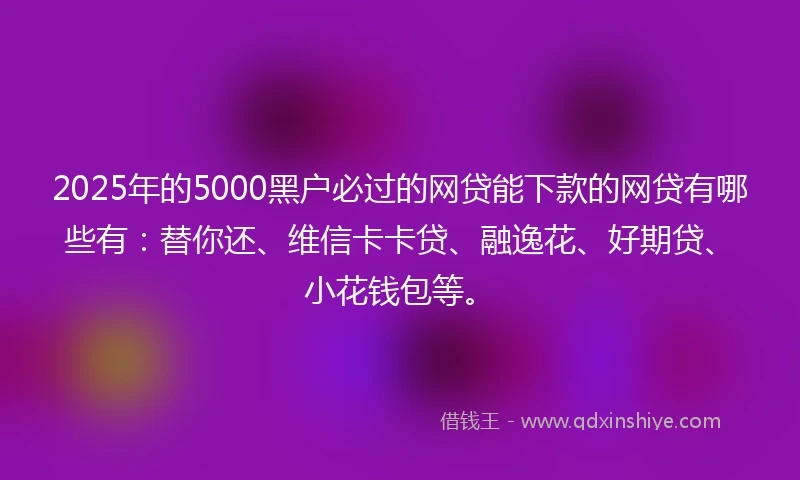 2025年的5000黑户必过的网贷能下款的网贷有哪些有：替你还、维信卡卡贷、融逸花、好期贷、小花钱包等。