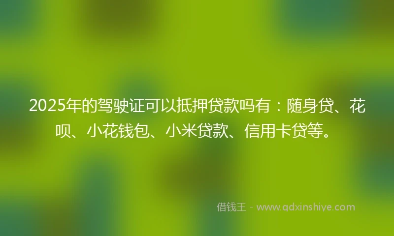 2025年的驾驶证可以抵押贷款吗有：随身贷、花呗、小花钱包、小米贷款、信用卡贷等。