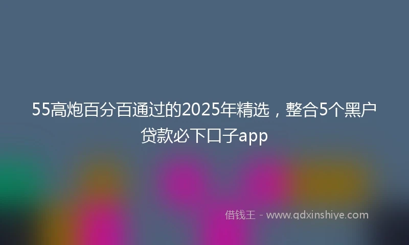 55高炮百分百通过的2025年精选，整合5个黑户贷款必下口子app