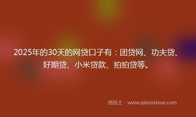 2025年的30天的网贷口子有：团贷网、功夫贷、好期贷、小米贷款、拍拍贷等。