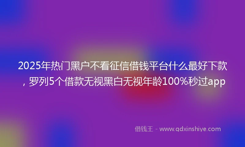 2025年热门黑户不看征信借钱平台什么最好下款，罗列5个借款无视黑白无视年龄100%秒过app