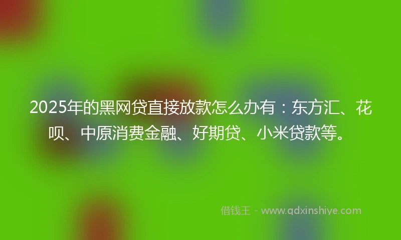 2025年的黑网贷直接放款怎么办有：东方汇、花呗、中原消费金融、好期贷、小米贷款等。
