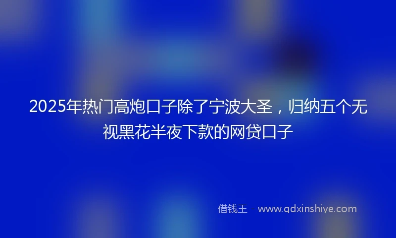 2025年热门高炮口子除了宁波大圣，归纳五个无视黑花半夜下款的网贷口子