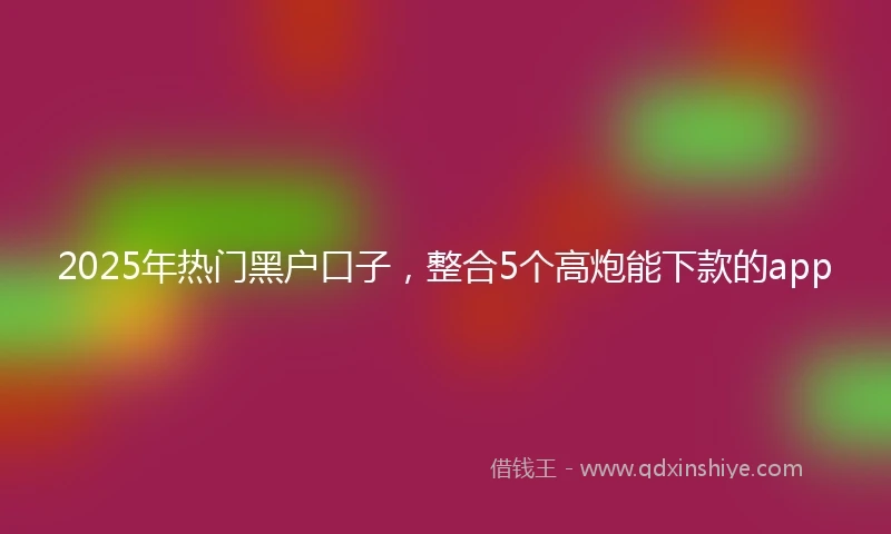 2025年热门黑户口子，整合5个高炮能下款的app