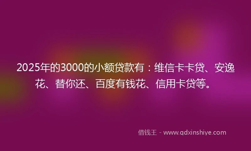 2025年的3000的小额贷款有：维信卡卡贷、安逸花、替你还、百度有钱花、信用卡贷等。