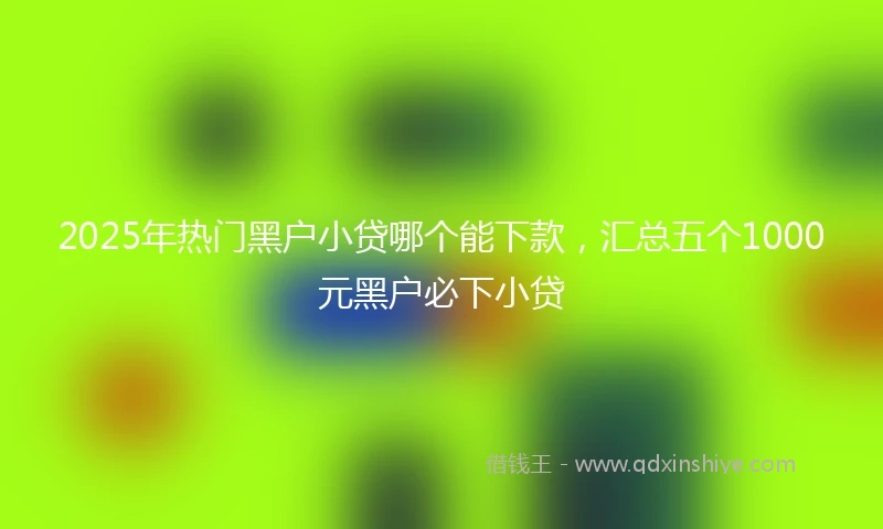 2025年热门黑户小贷哪个能下款，汇总五个1000元黑户必下小贷