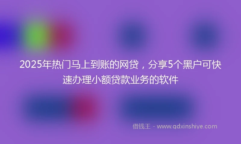 2025年热门马上到账的网贷，分享5个黑户可快速办理小额贷款业务的软件