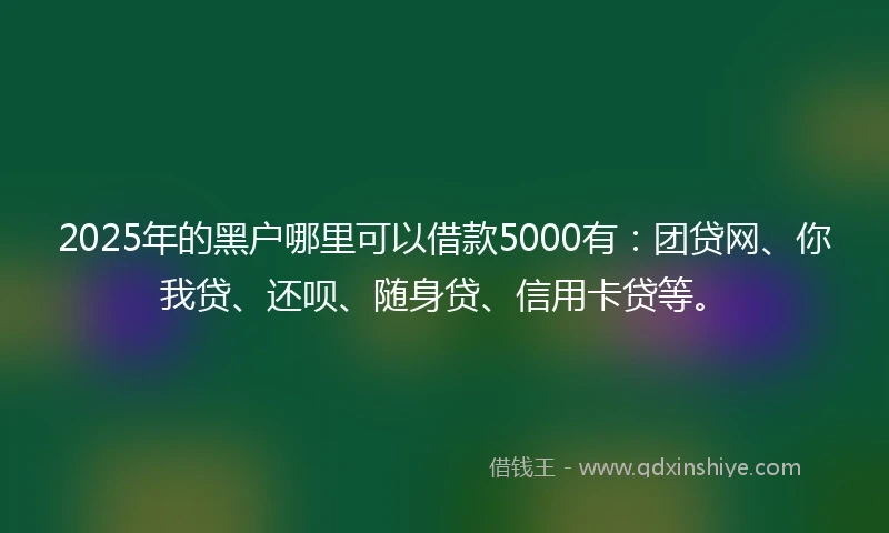 2025年的黑户哪里可以借款5000有：团贷网、你我贷、还呗、随身贷、信用卡贷等。