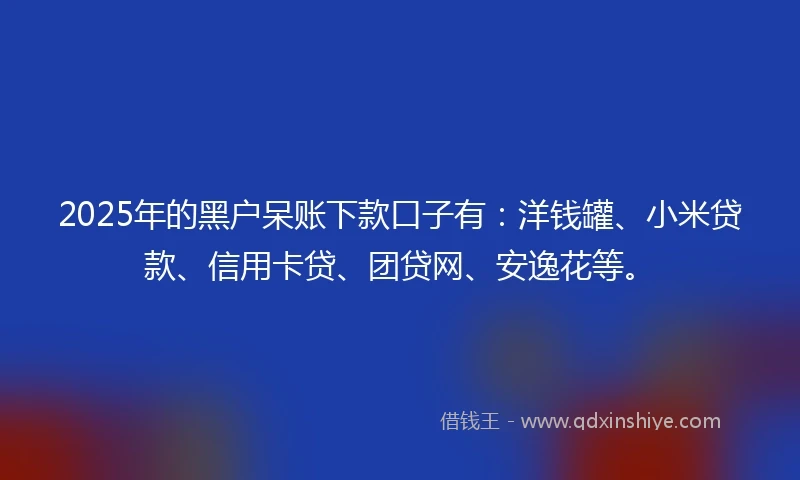 2025年的黑户呆账下款口子有：洋钱罐、小米贷款、信用卡贷、团贷网、安逸花等。