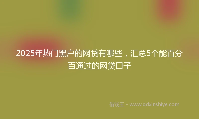 2025年热门黑户的网贷有哪些，汇总5个能百分百通过的网贷口子
