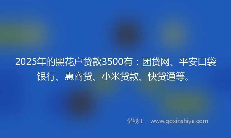 2025年的黑花户贷款3500有：团贷网、平安口袋银行、惠商贷、小米贷款、快贷通等。