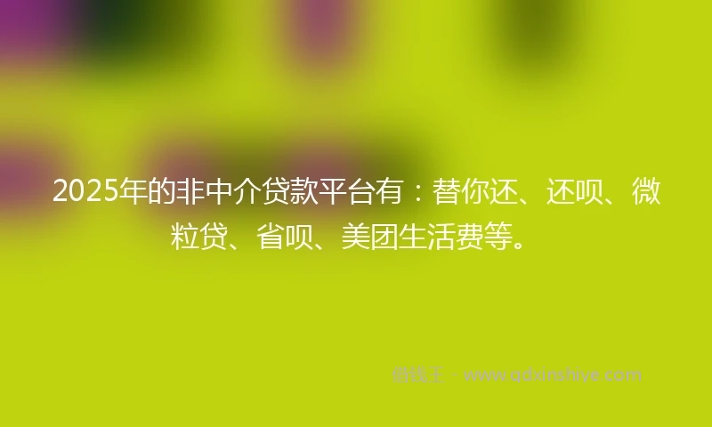 2025年的非中介贷款平台有：替你还、还呗、微粒贷、省呗、美团生活费等。
