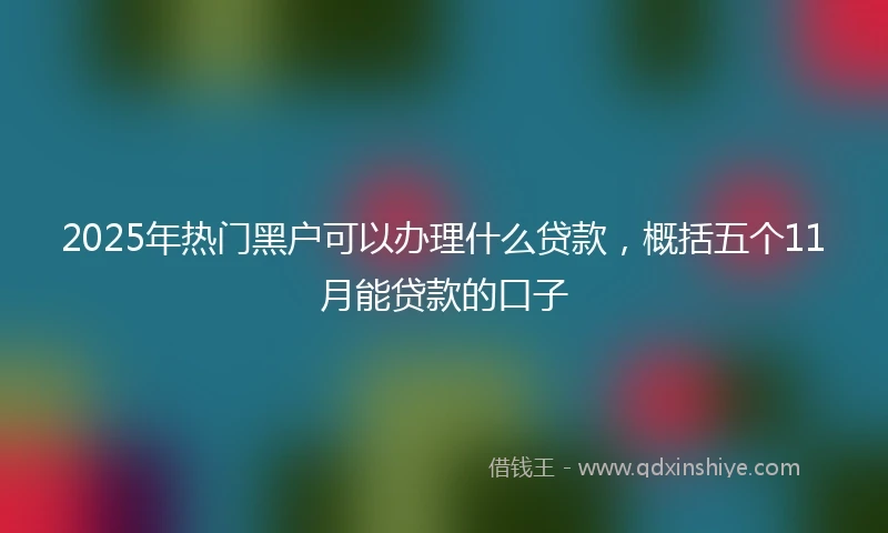 2025年热门黑户可以办理什么贷款，概括五个11月能贷款的口子