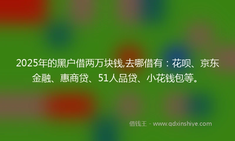 2025年的黑户借两万块钱,去哪借有：花呗、京东金融、惠商贷、51人品贷、小花钱包等。