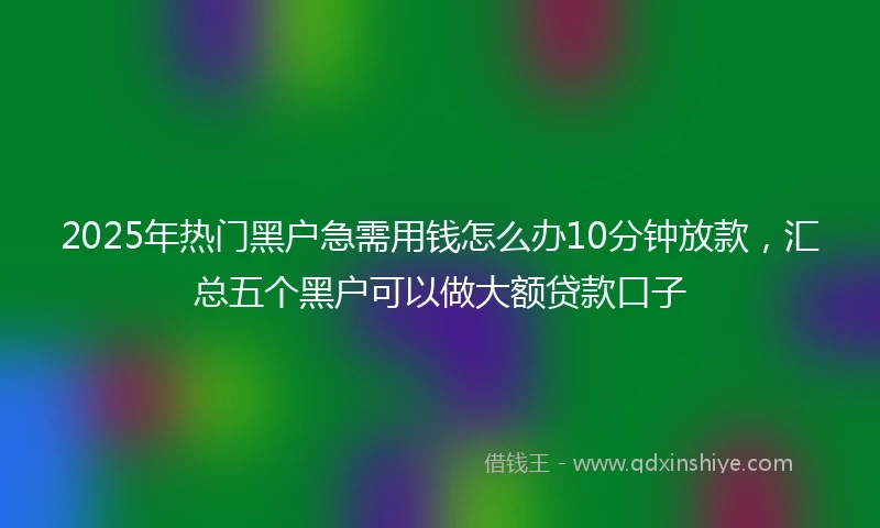 2025年热门黑户急需用钱怎么办10分钟放款，汇总五个黑户可以做大额贷款口子