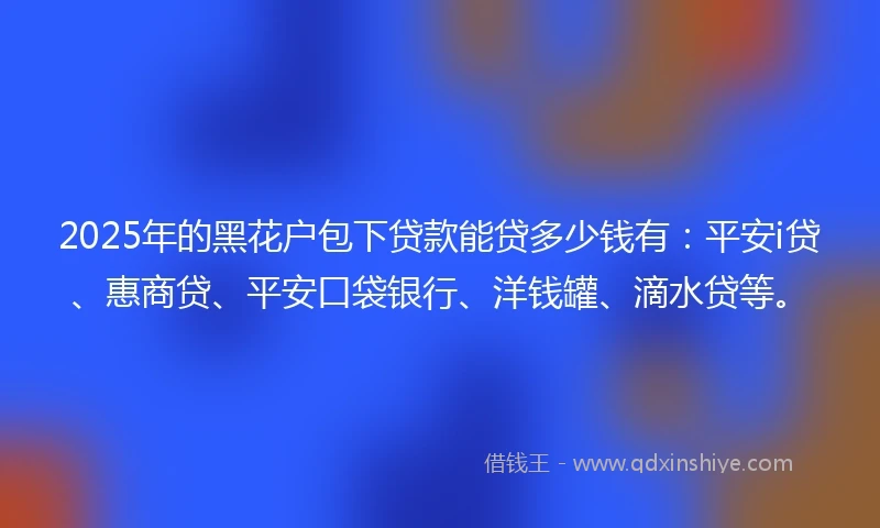 2025年的黑花户包下贷款能贷多少钱有：平安i贷、惠商贷、平安口袋银行、洋钱罐、滴水贷等。