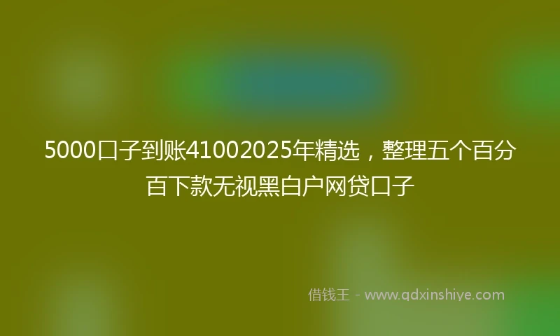 5000口子到账41002025年精选，整理五个百分百下款无视黑白户网贷口子