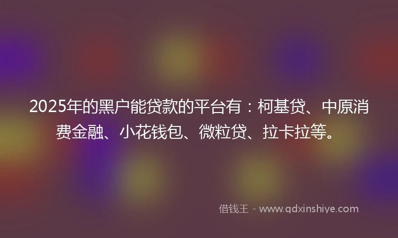 2025年的黑户能贷款的平台有：柯基贷、中原消费金融、小花钱包、微粒贷、拉卡拉等。