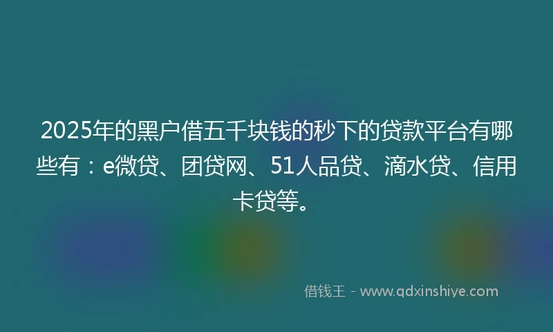 2025年的黑户借五千块钱的秒下的贷款平台有哪些有：e微贷、团贷网、51人品贷、滴水贷、信用卡贷等。