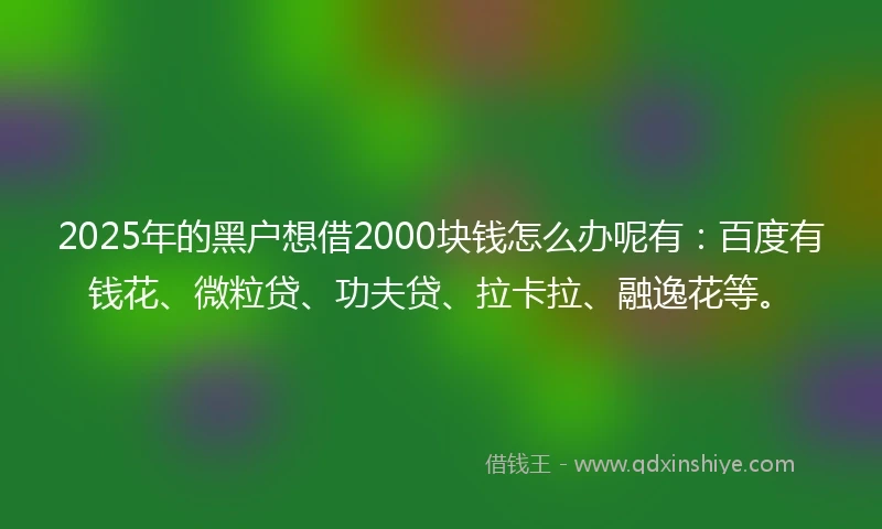 2025年的黑户想借2000块钱怎么办呢有：百度有钱花、微粒贷、功夫贷、拉卡拉、融逸花等。