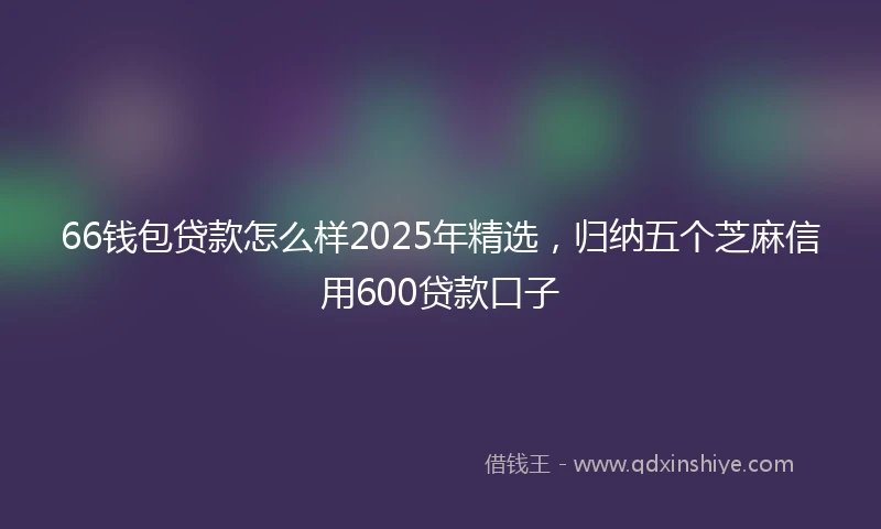 66钱包贷款怎么样2025年精选，归纳五个芝麻信用600贷款口子