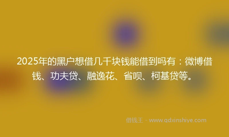 2025年的黑户想借几千块钱能借到吗有：微博借钱、功夫贷、融逸花、省呗、柯基贷等。