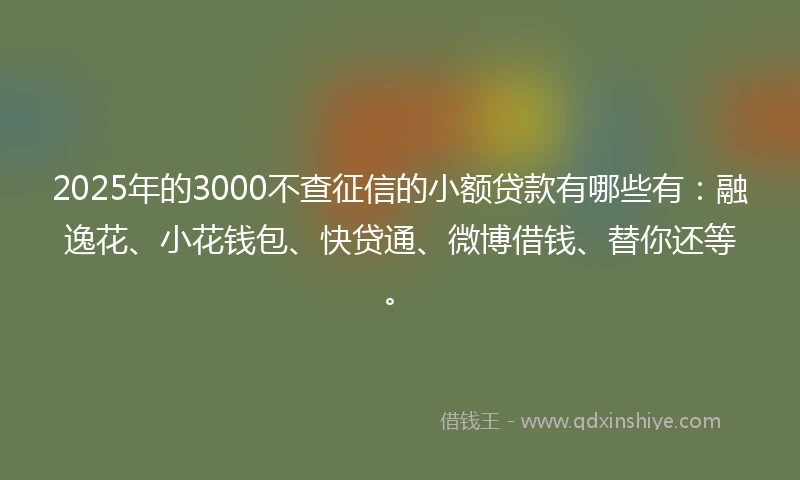 2025年的3000不查征信的小额贷款有哪些有：融逸花、小花钱包、快贷通、微博借钱、替你还等。