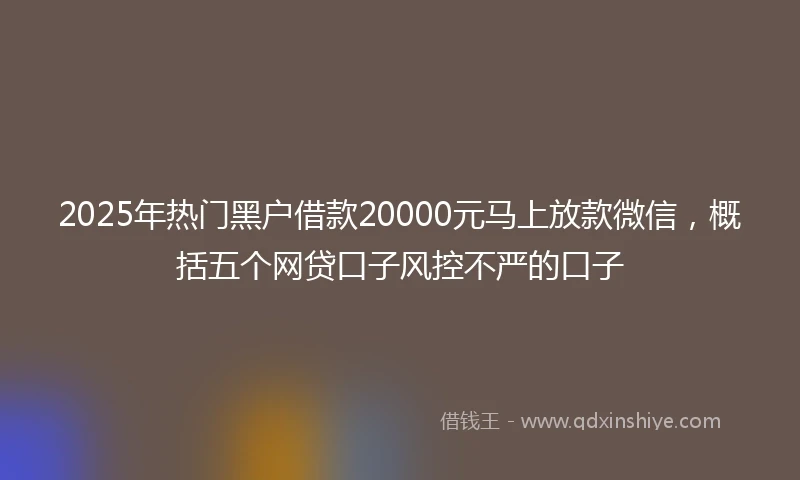 2025年热门黑户借款20000元马上放款微信，概括五个网贷口子风控不严的口子