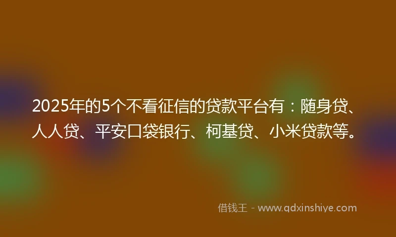 2025年的5个不看征信的贷款平台有：随身贷、人人贷、平安口袋银行、柯基贷、小米贷款等。