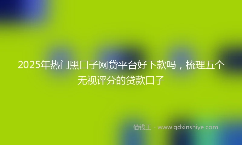 2025年热门黑口子网贷平台好下款吗，梳理五个无视评分的贷款口子