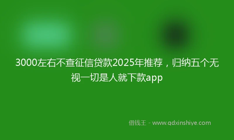 3000左右不查征信贷款2025年推荐，归纳五个无视一切是人就下款app