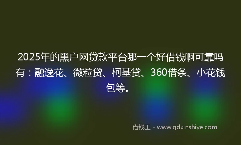2025年的黑户网贷款平台哪一个好借钱啊可靠吗有：融逸花、微粒贷、柯基贷、360借条、小花钱包等。