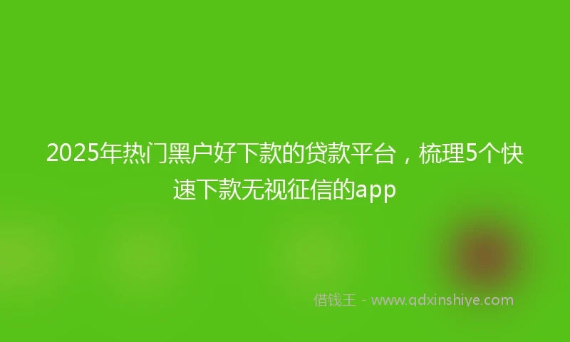 2025年热门黑户好下款的贷款平台，梳理5个快速下款无视征信的app