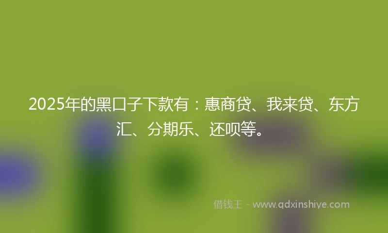2025年的黑口子下款有：惠商贷、我来贷、东方汇、分期乐、还呗等。