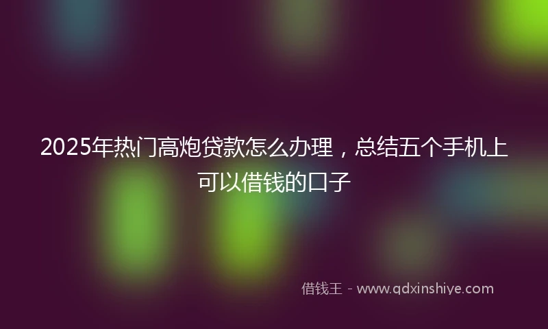 2025年热门高炮贷款怎么办理，总结五个手机上可以借钱的口子